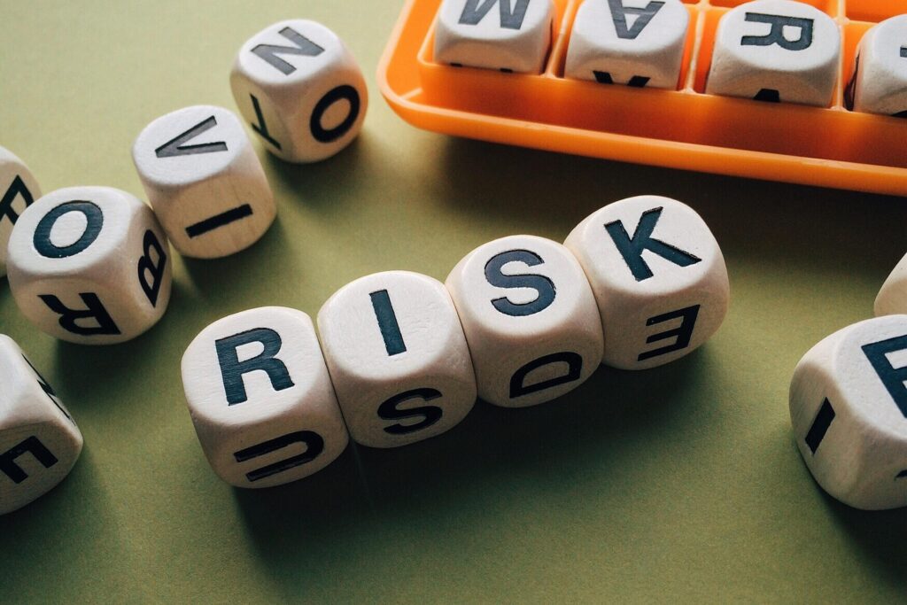 Risk and Risk Management