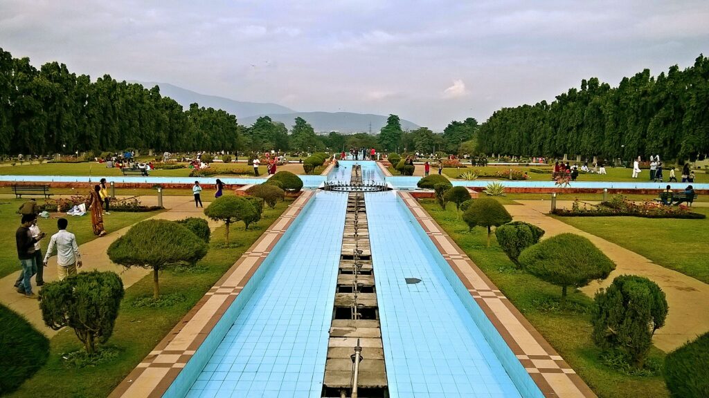 CA Firms in Jamshedpur