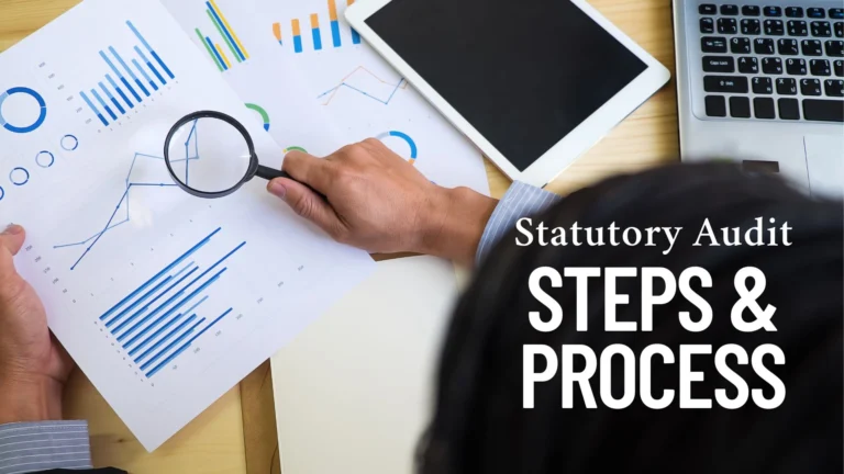 Statutory Audit Process