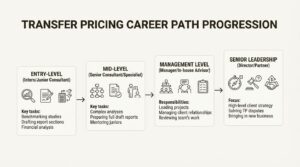 An infographic showing the four main stages of the Transfer pricing career path, from entry-level analyst to senior leadership